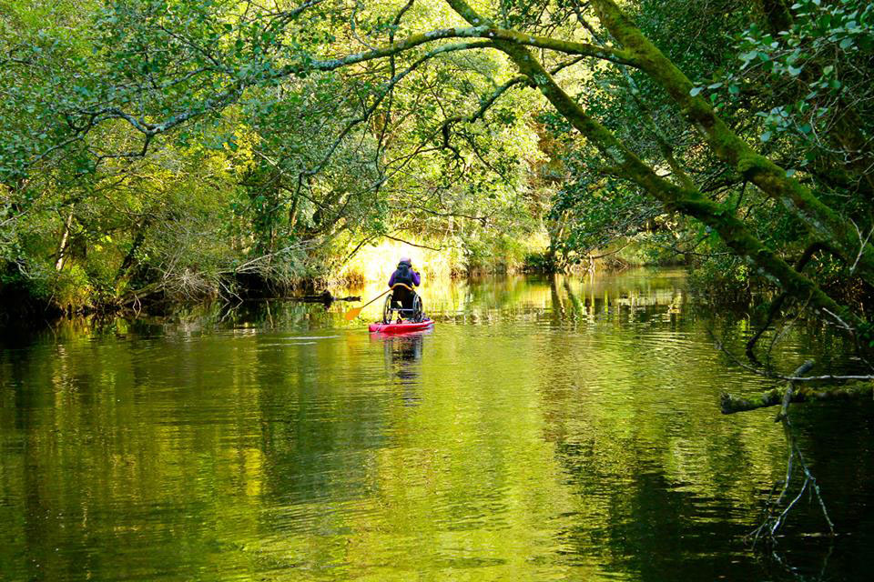 5. Still from 'Second Sight Site'. SUPing on the River Bonet Photograph by David O'Hara Me paddling in my wheelchair attached to a stand up paddle on a calm river surrounded by green trees