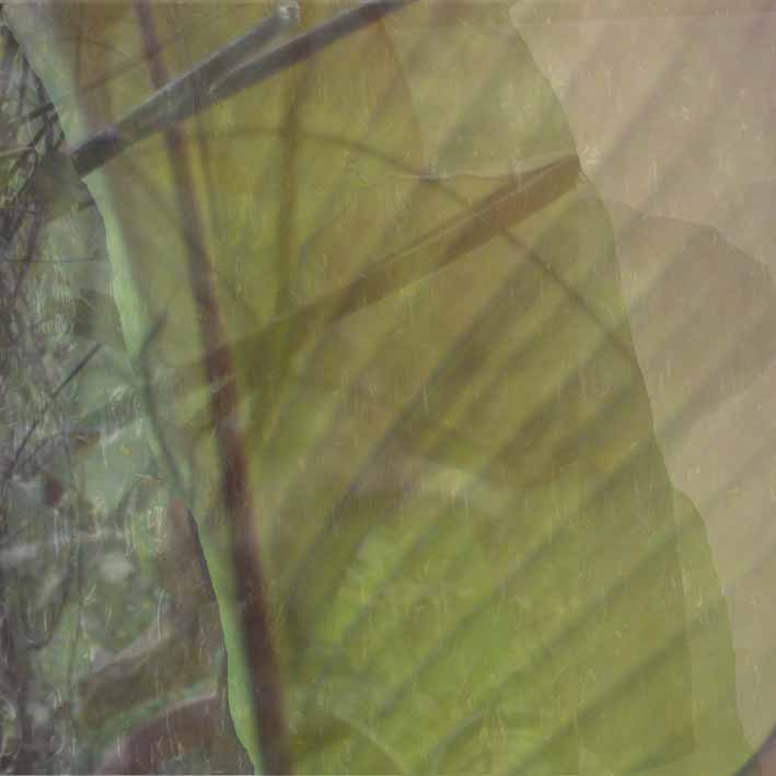 Wrapped in Nature by Kathy O' Leary 25x25cm